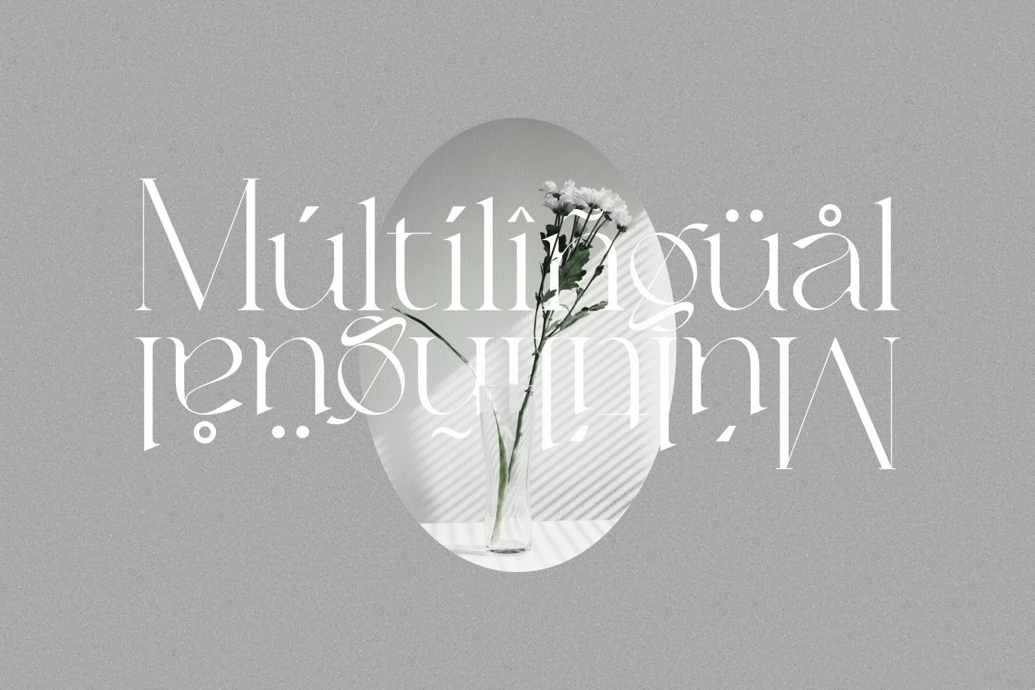 Balinest _ chic modern font