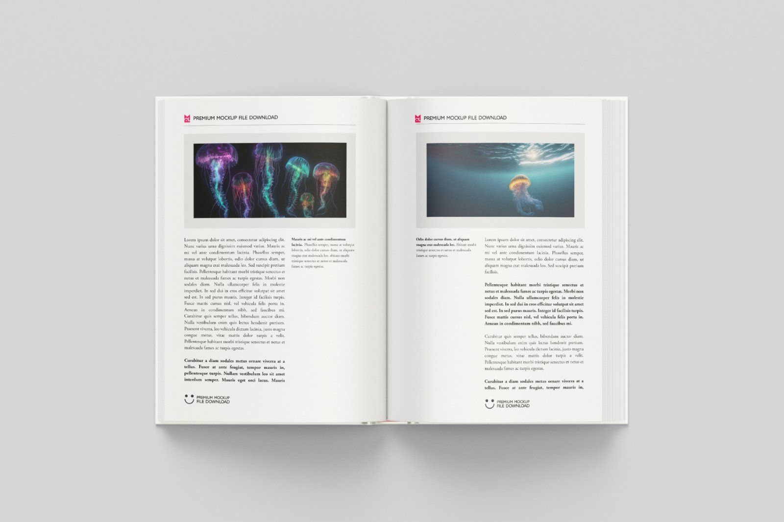 Hardcover book mockup