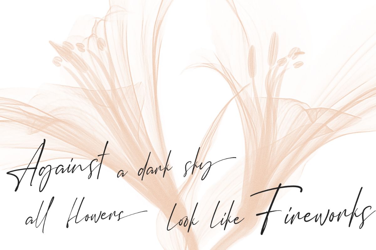 Ceglar – Elegant & Luxury Font Trio