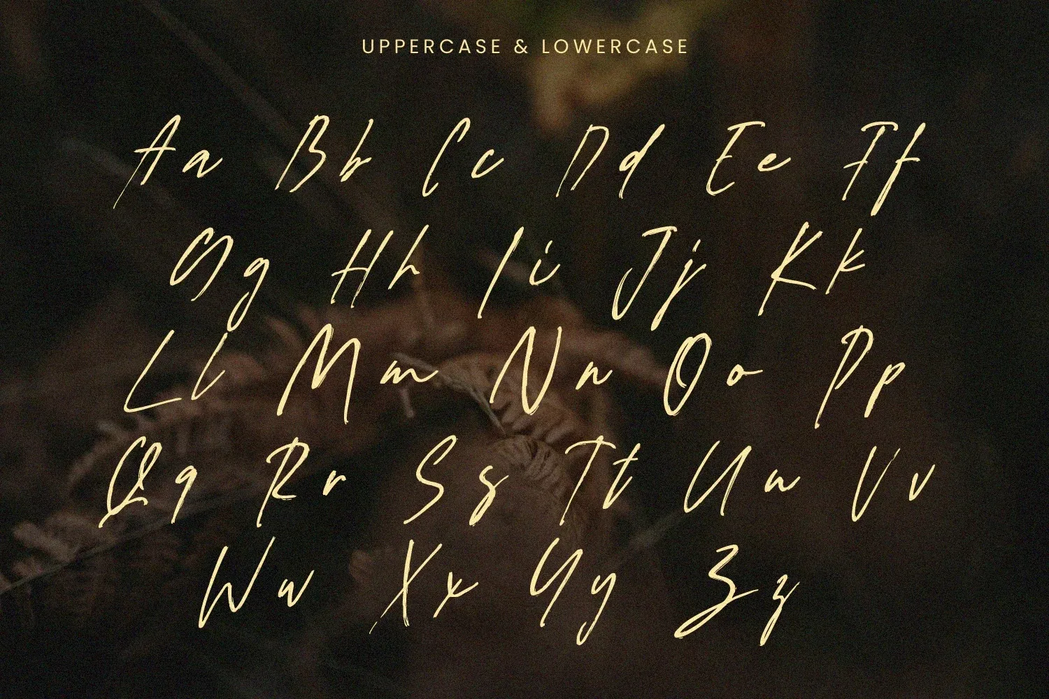 Figuea Granatae – Handwritten Script