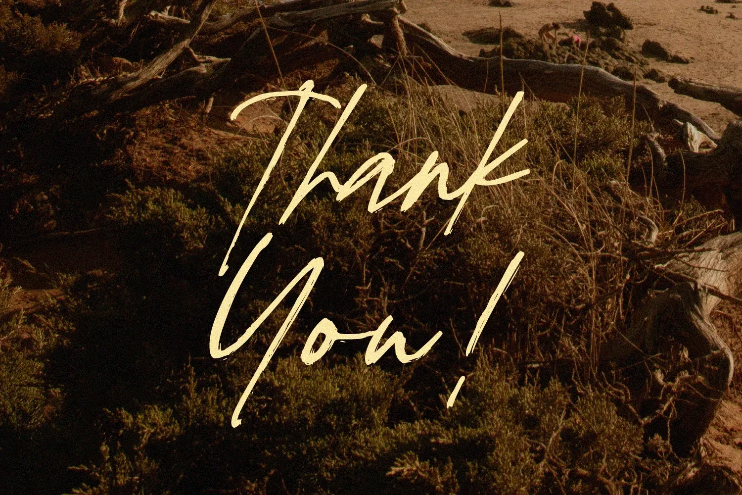 Figuea Granatae – Handwritten Script