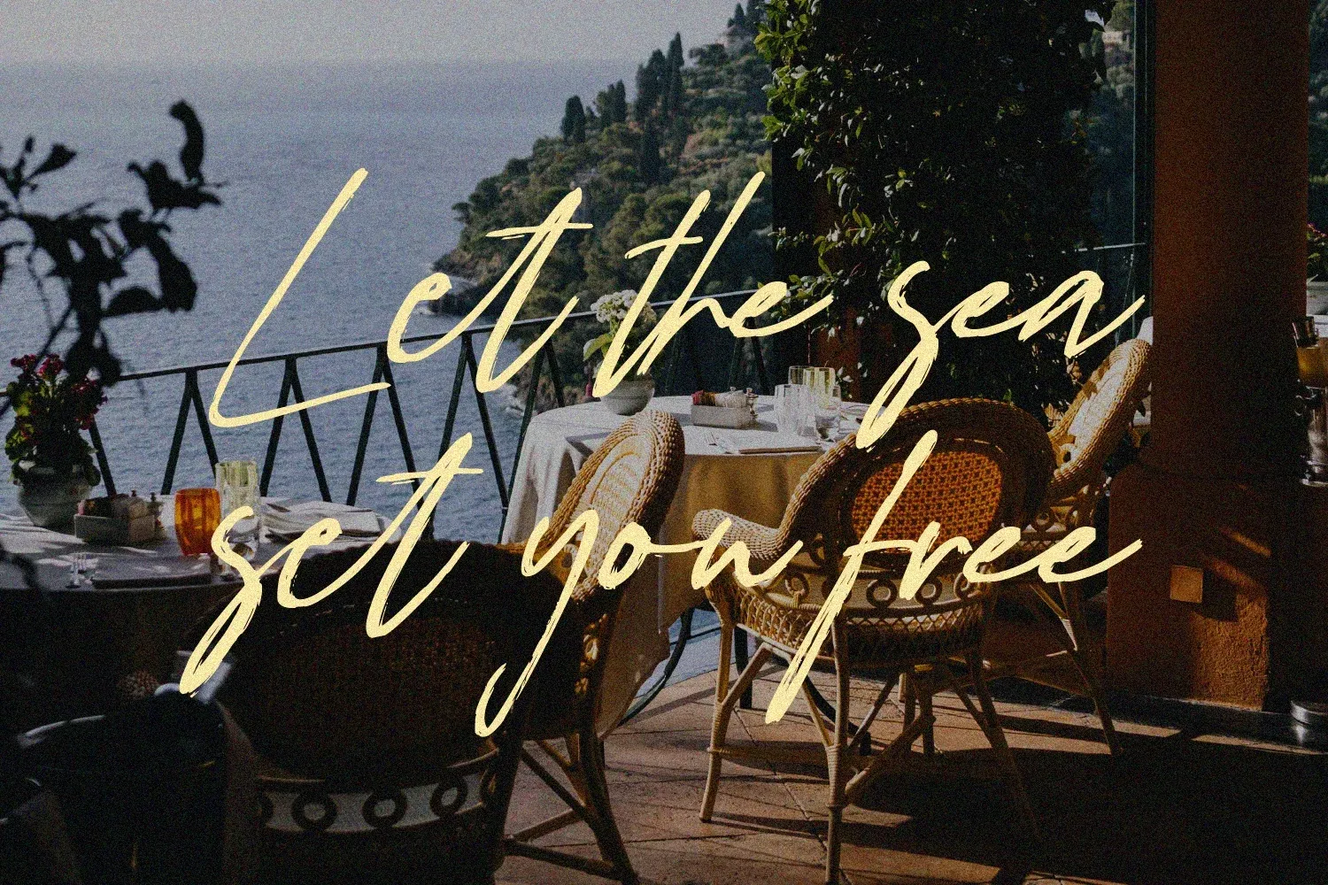 Figuea Granatae – Handwritten Script