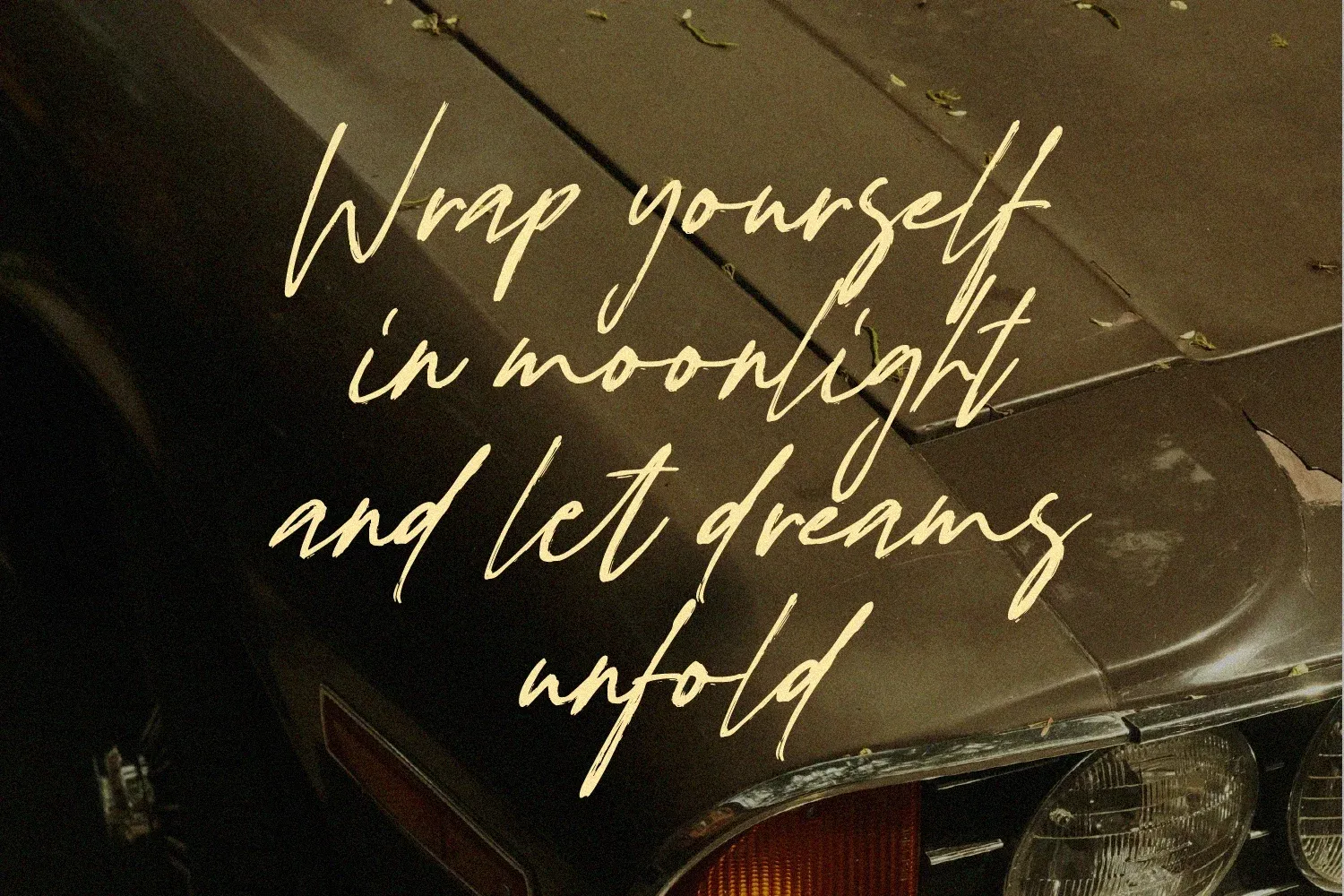 Figuea Granatae – Handwritten Script