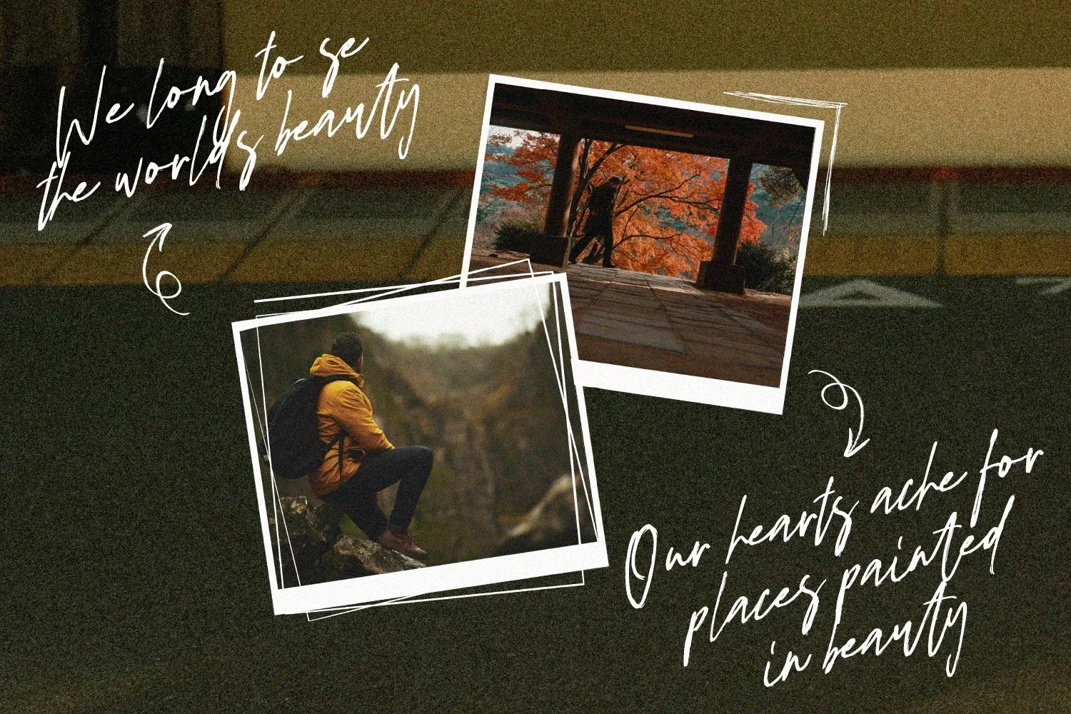 Figuea Granatae – Handwritten Script