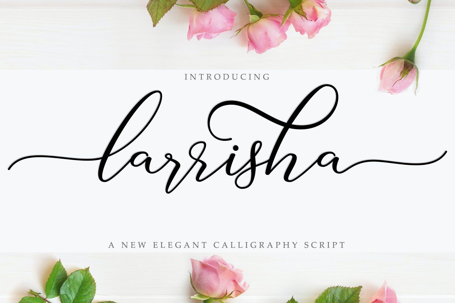 Larrisha Script