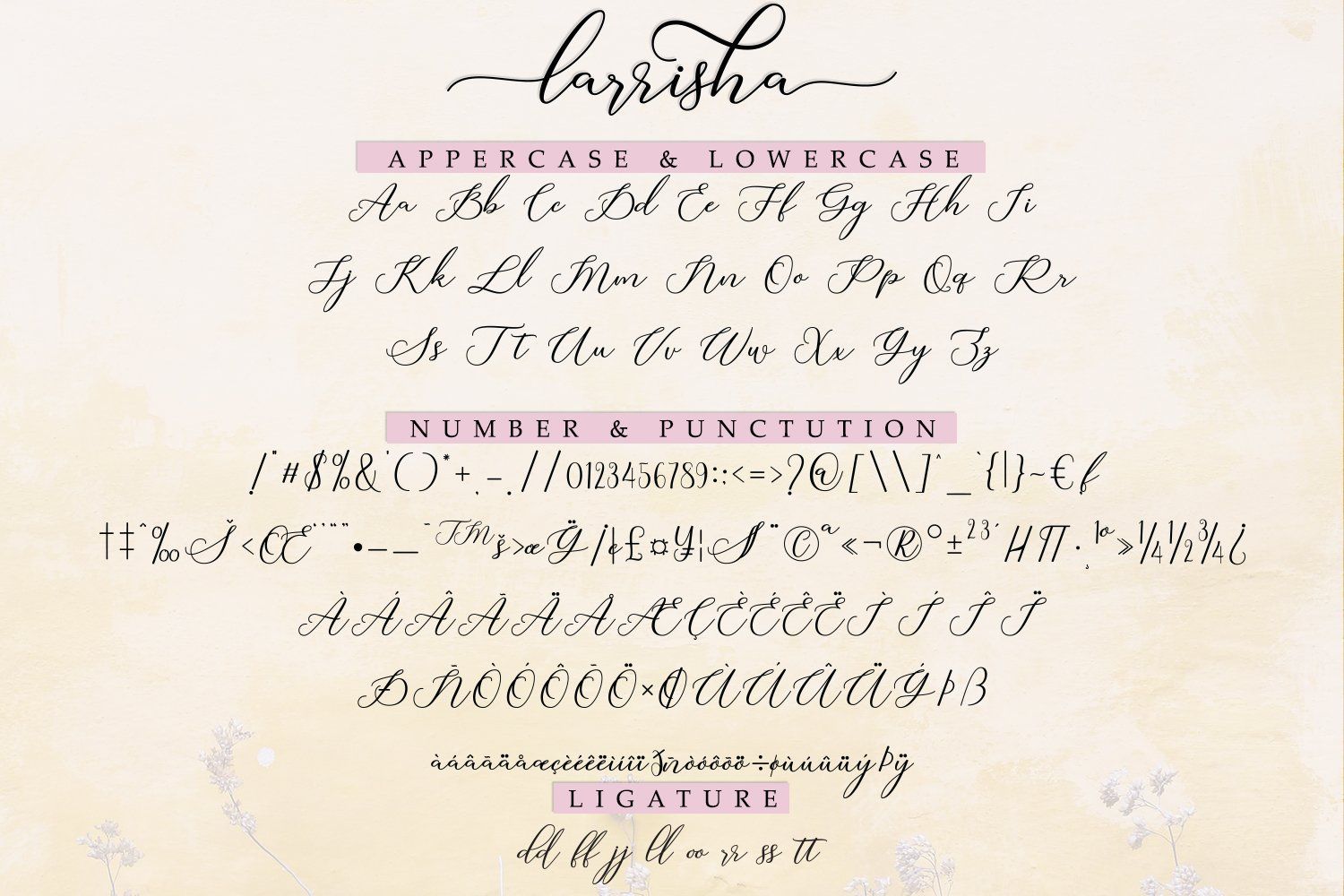 Larrisha Script