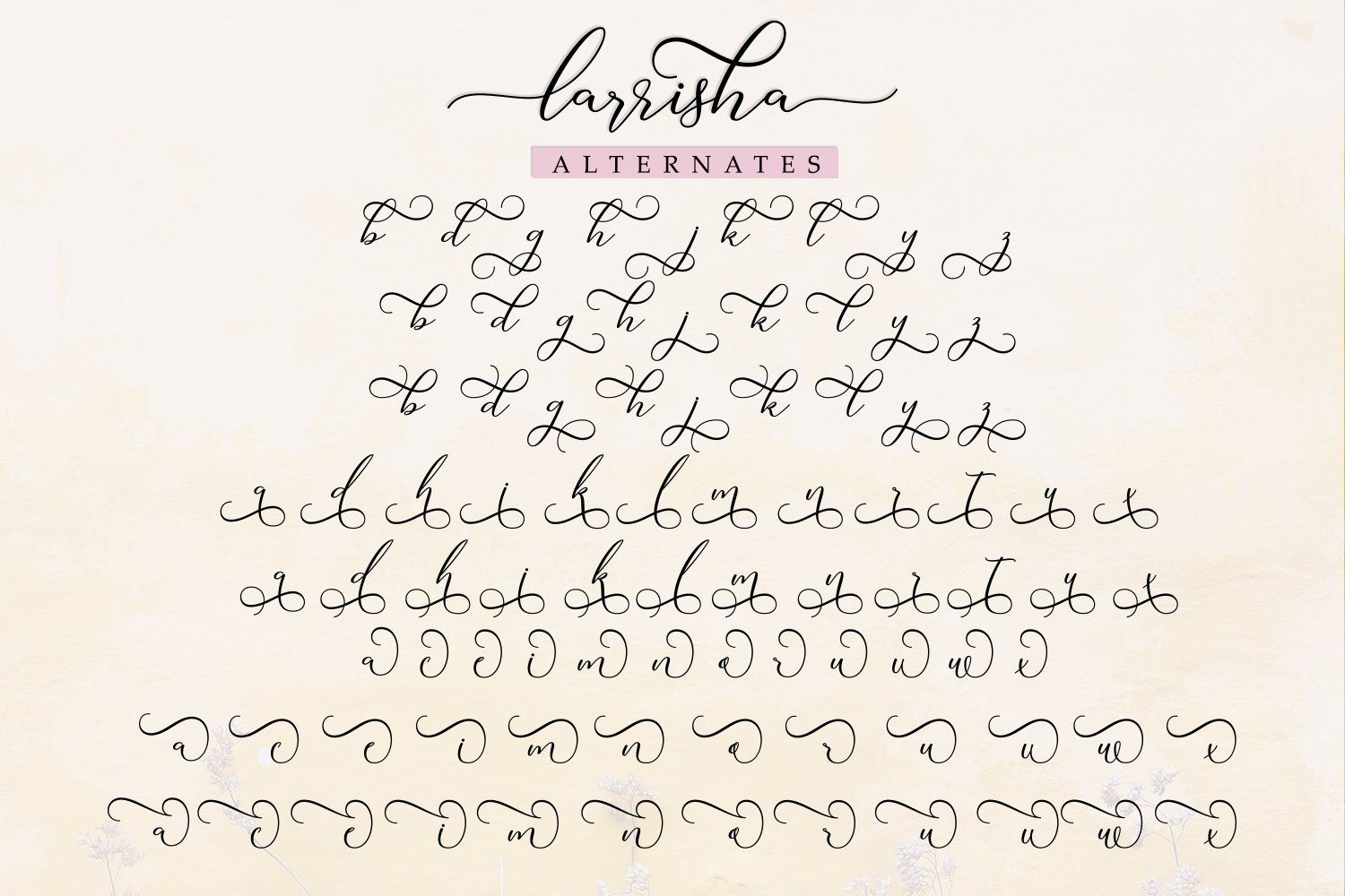 Larrisha Script