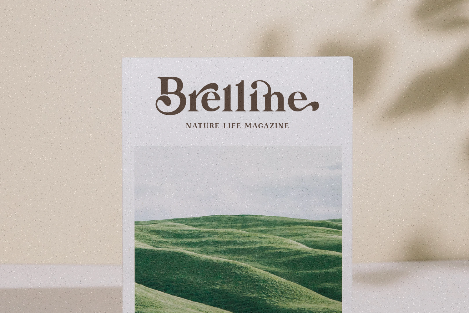 Linstone - modern serif