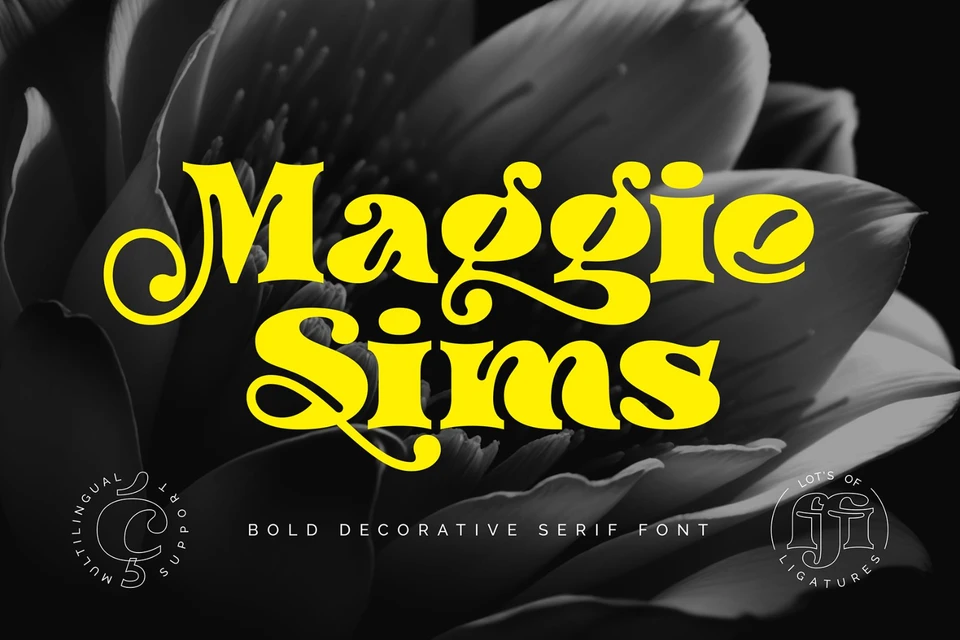 Maggie Sims - Bold Serif Font