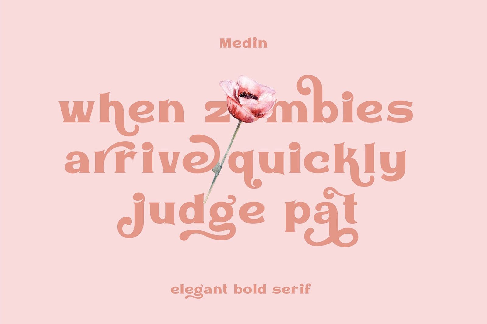 Medin – Elegant Bold Serif
