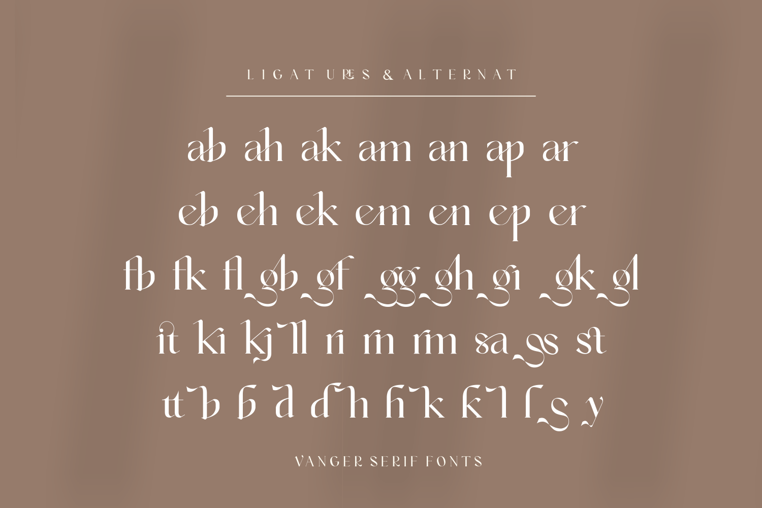 Vanger _ modern serif font