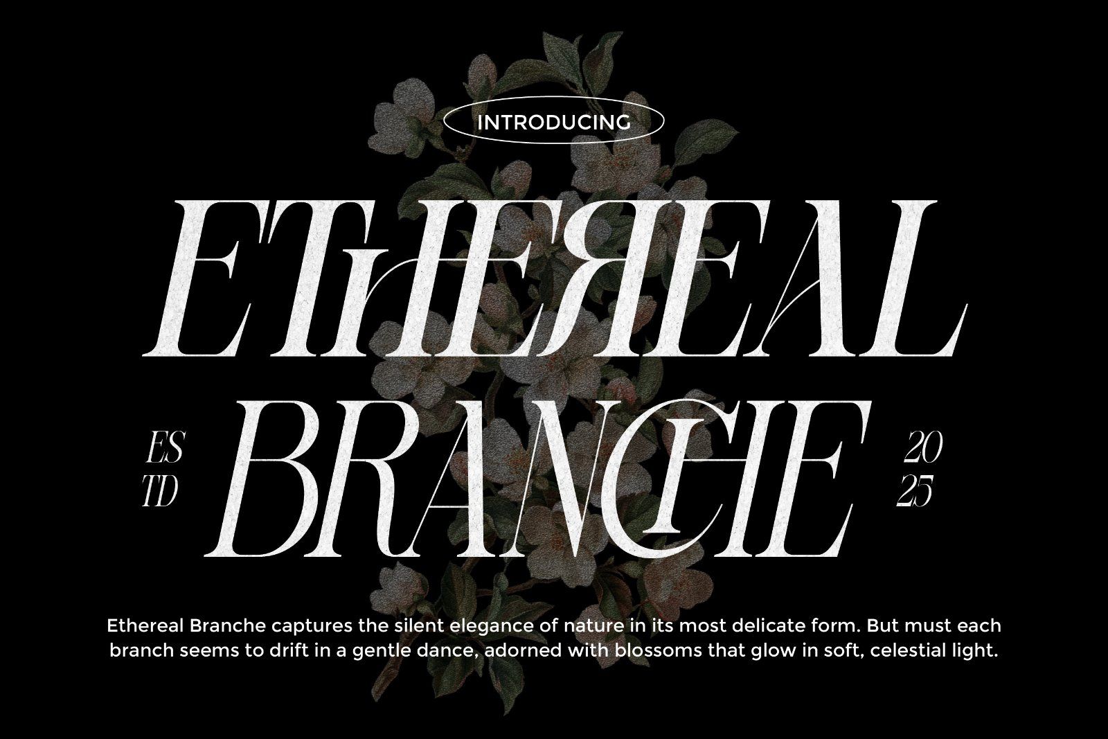 Sherlock Serif Family (126 Fonts)