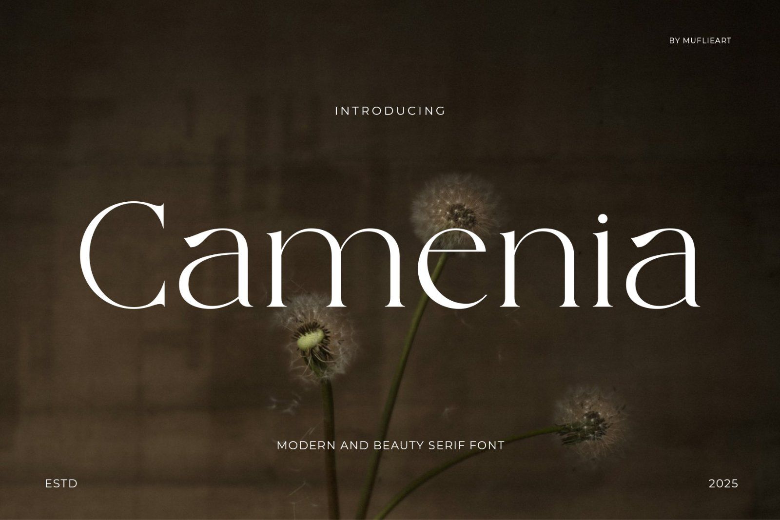 Camenia - Modern & Beauty Serif