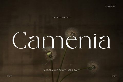 Camenia - Modern & Beauty Serif