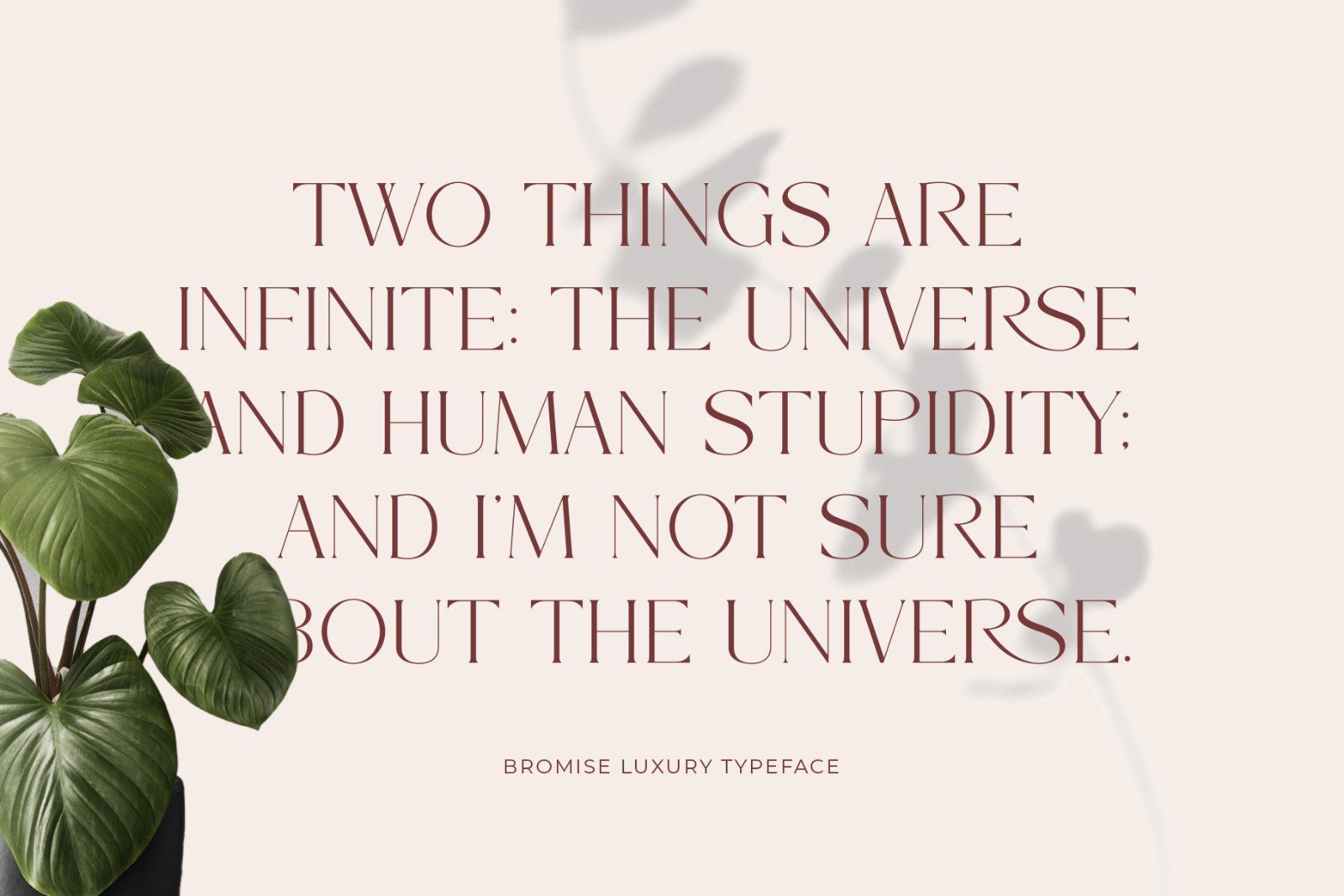 Bromise - Luxury Serif Typeface