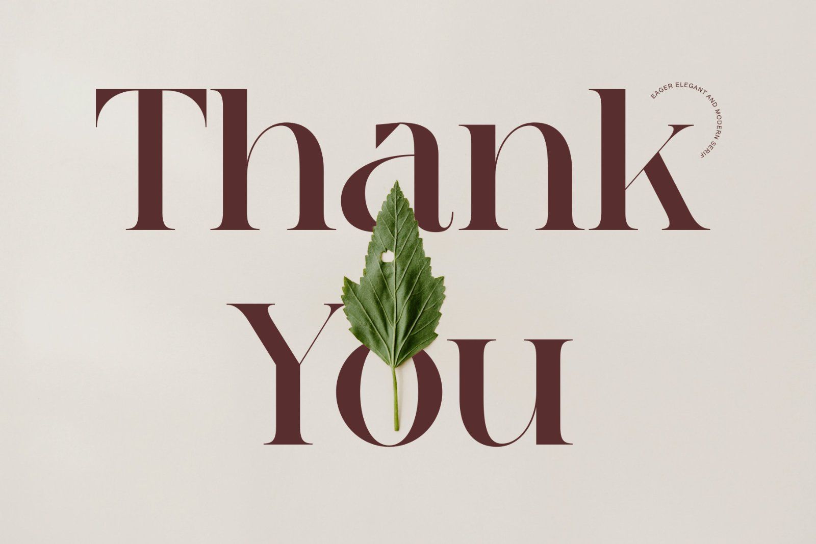 Eagers - Elegant And Modern Serif