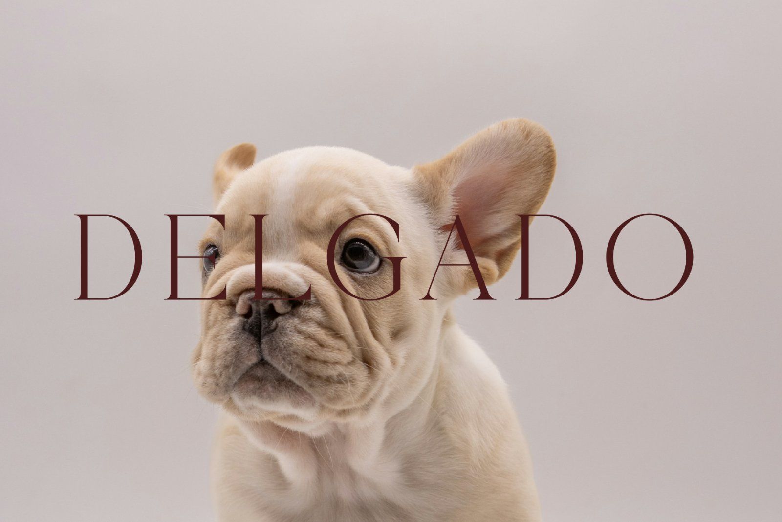 Crimle - An Elegant Serif Font