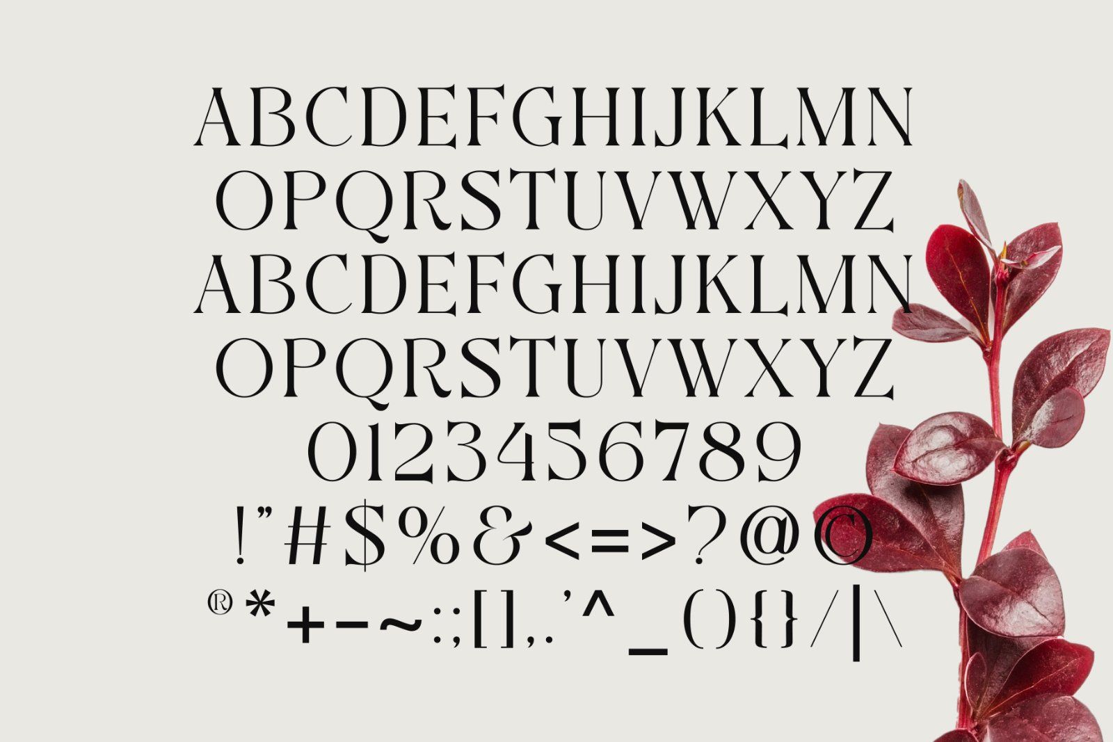 Aweshome Starthen - Modern & Beauty Serif