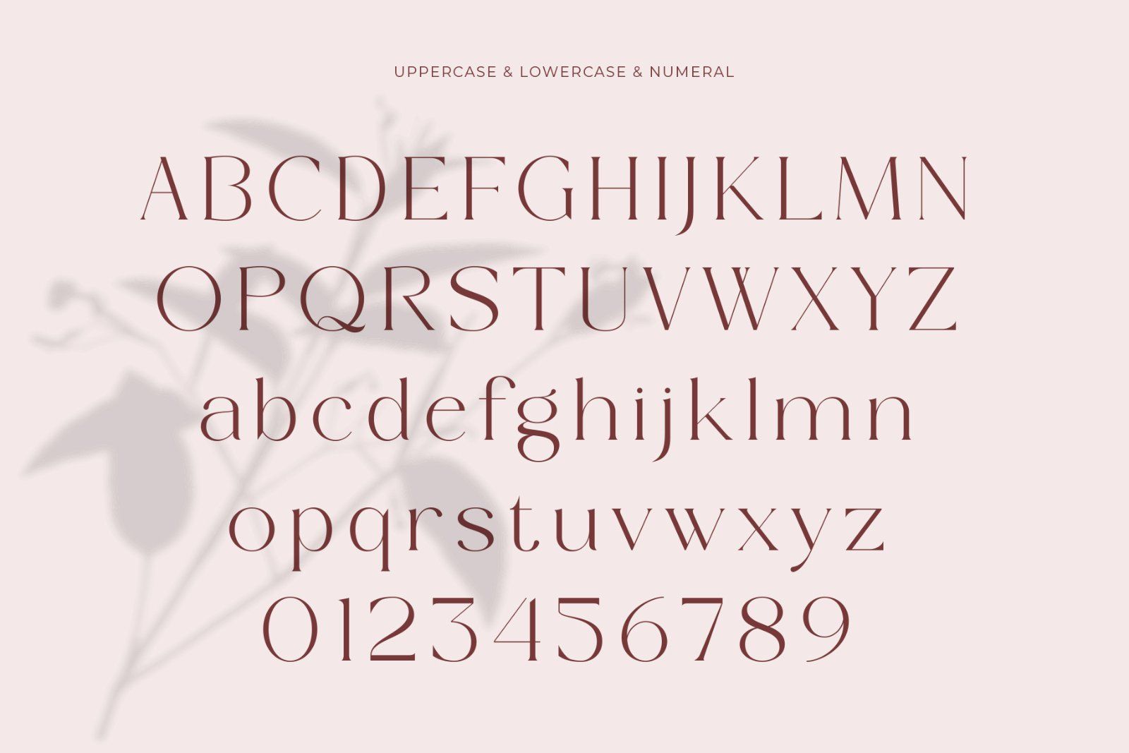 Bromise - Luxury Serif Typeface
