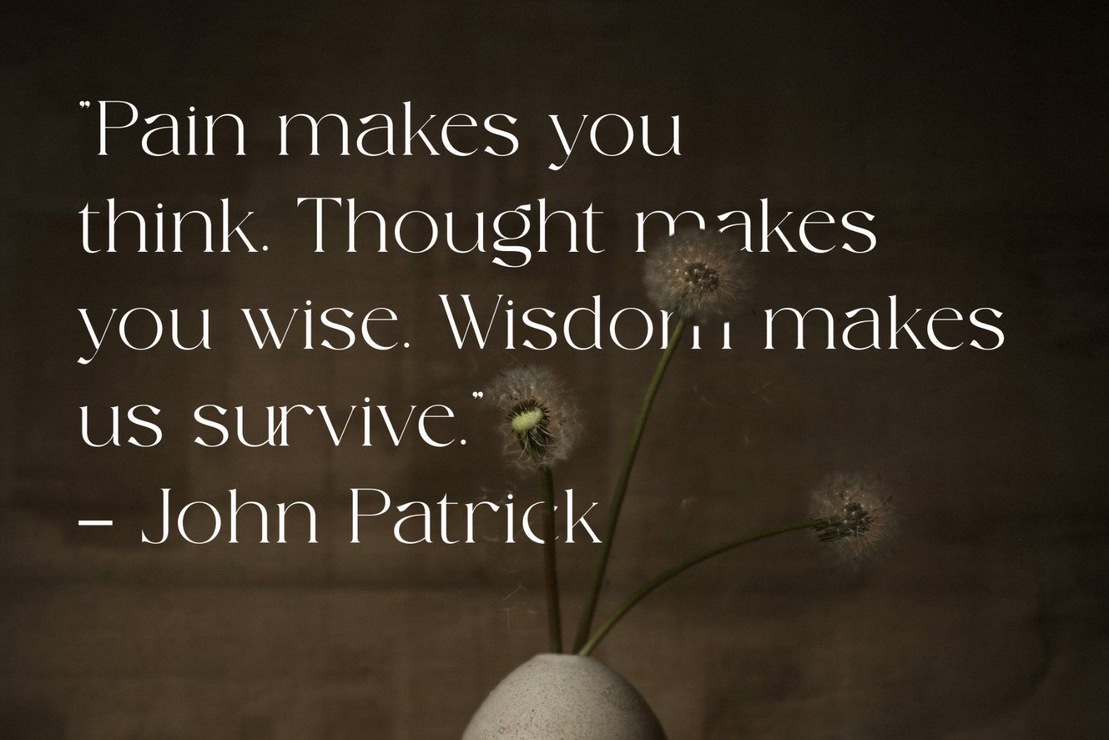 Camenia - Modern & Beauty Serif