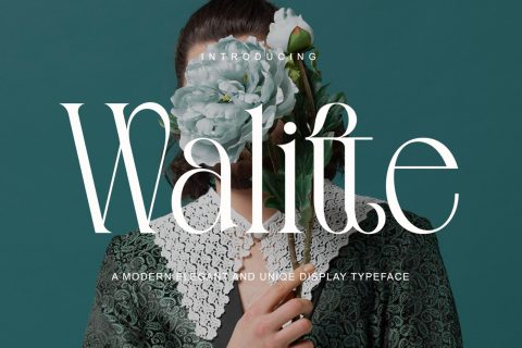Walitte Modern Elegant Serif