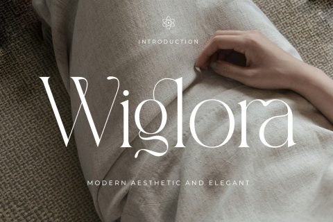 Wiglora Modern Ligature Serif