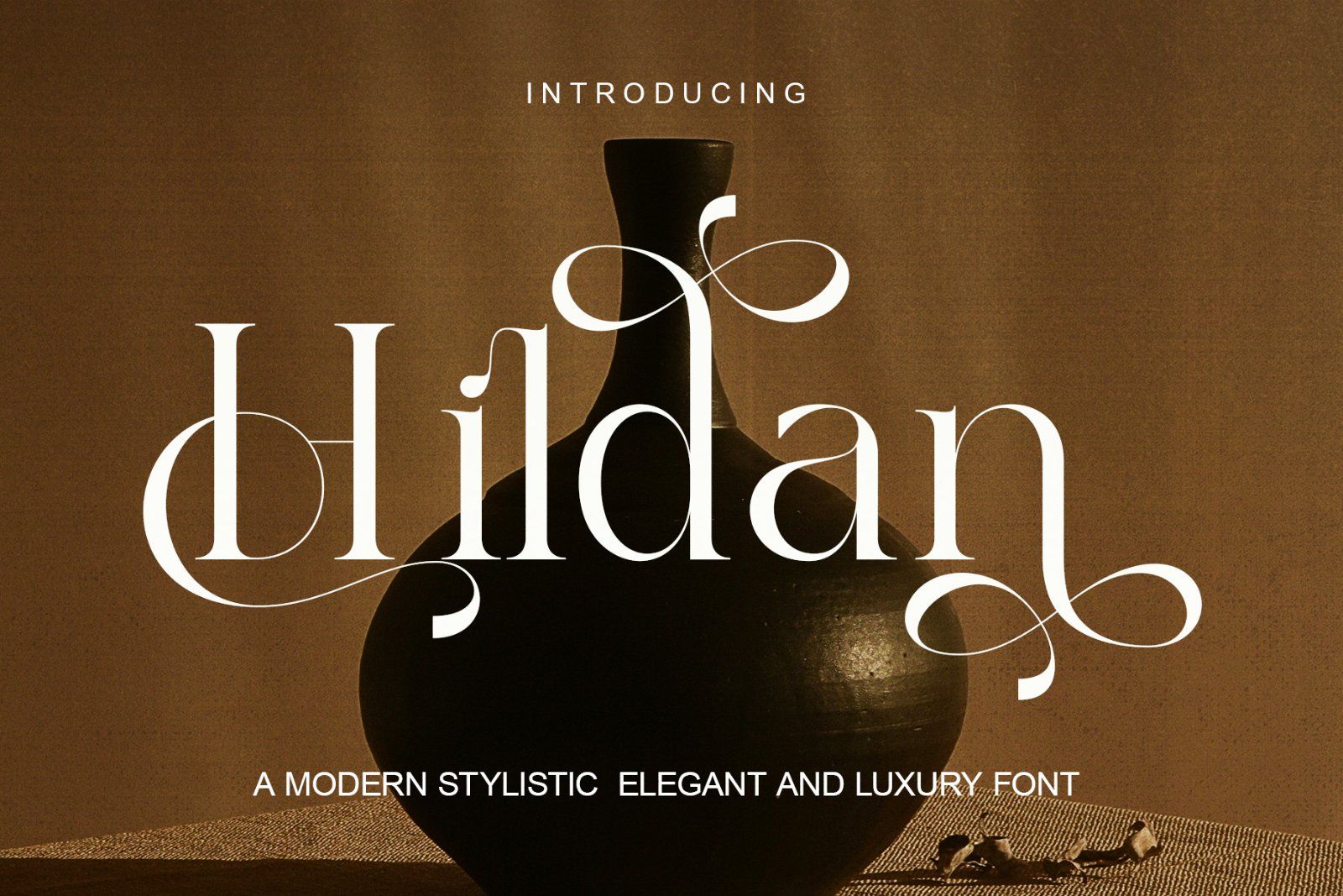 Hildan Modern Ligature Serif