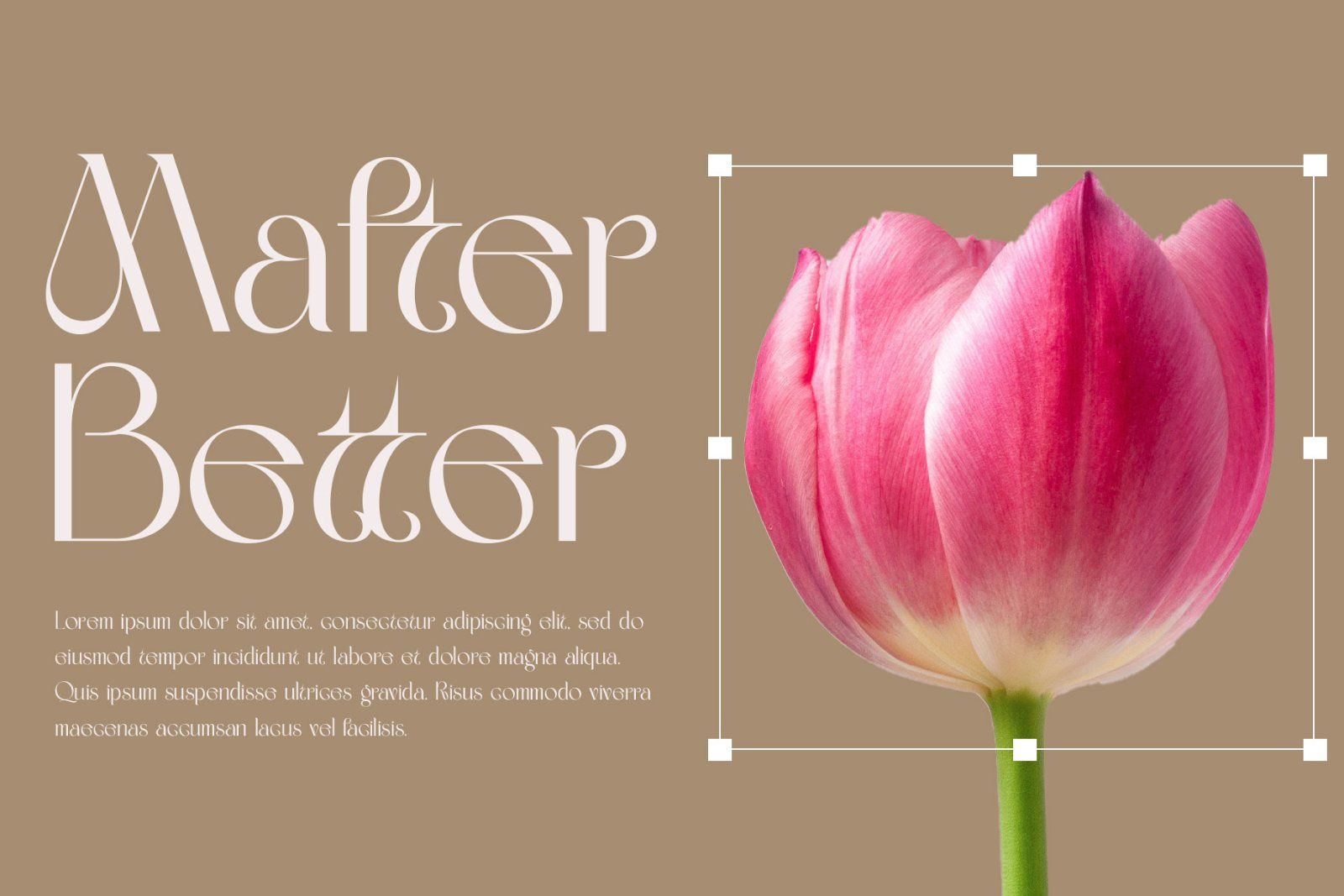 Mafter Elegant Serif Typeface