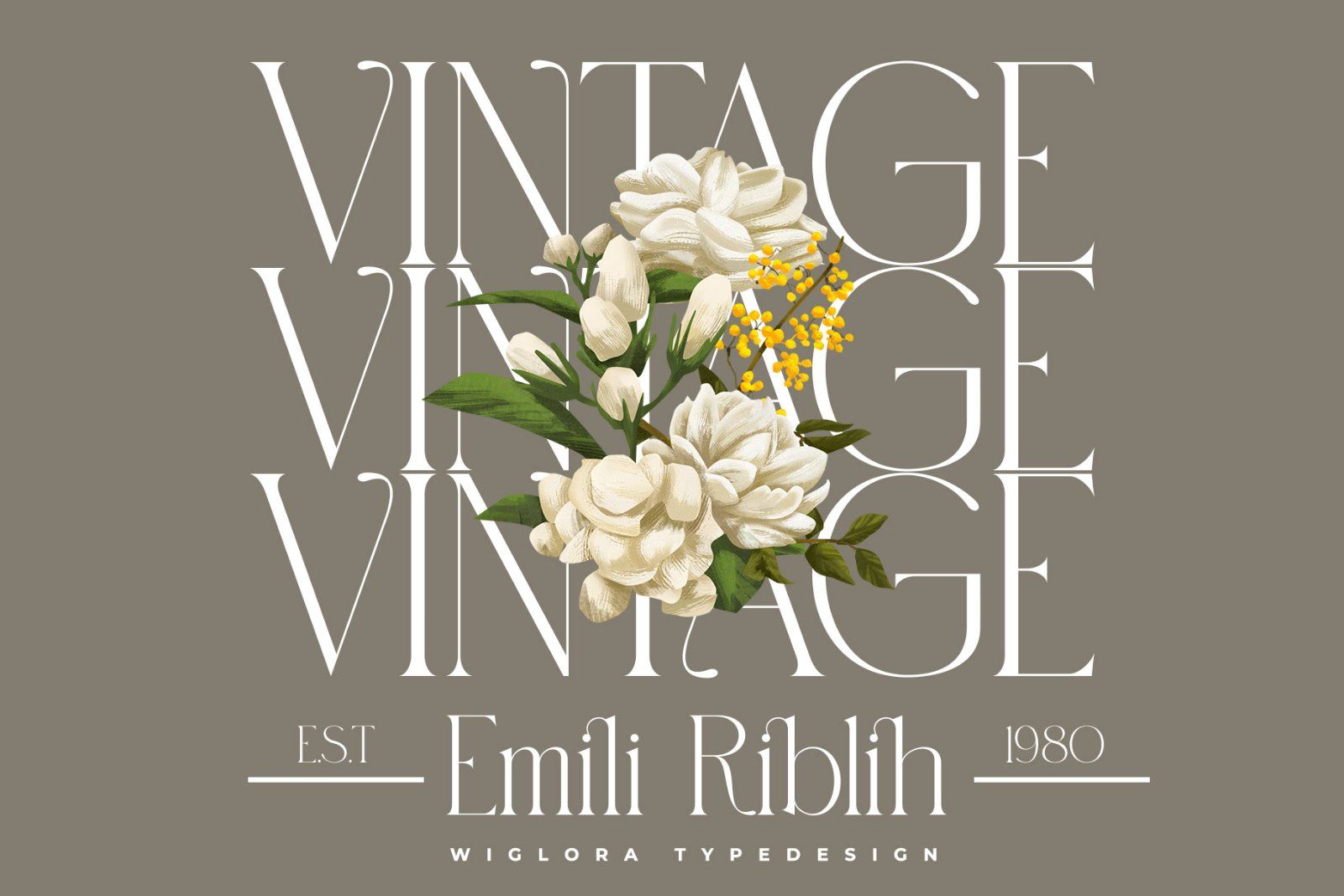 Wiglora Modern Ligature Serif