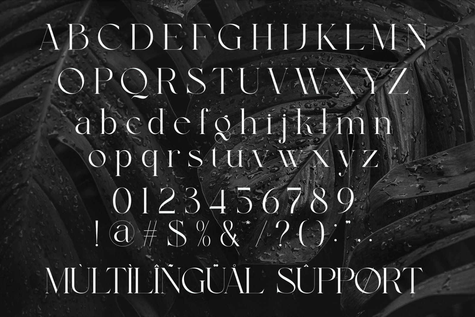 Garline Elegant Ligature Serif