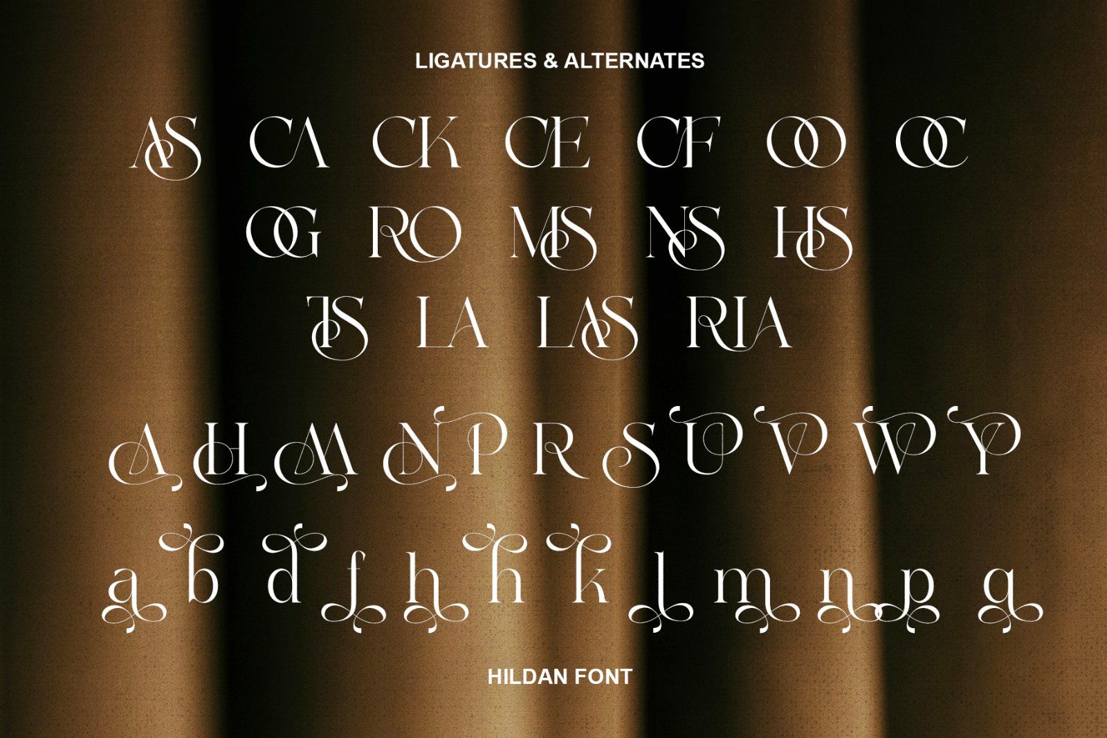 Hildan Modern Ligature Serif