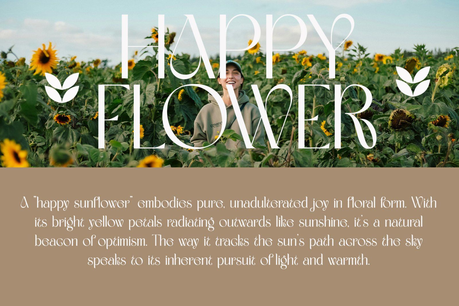 Mafter Elegant Serif Typeface