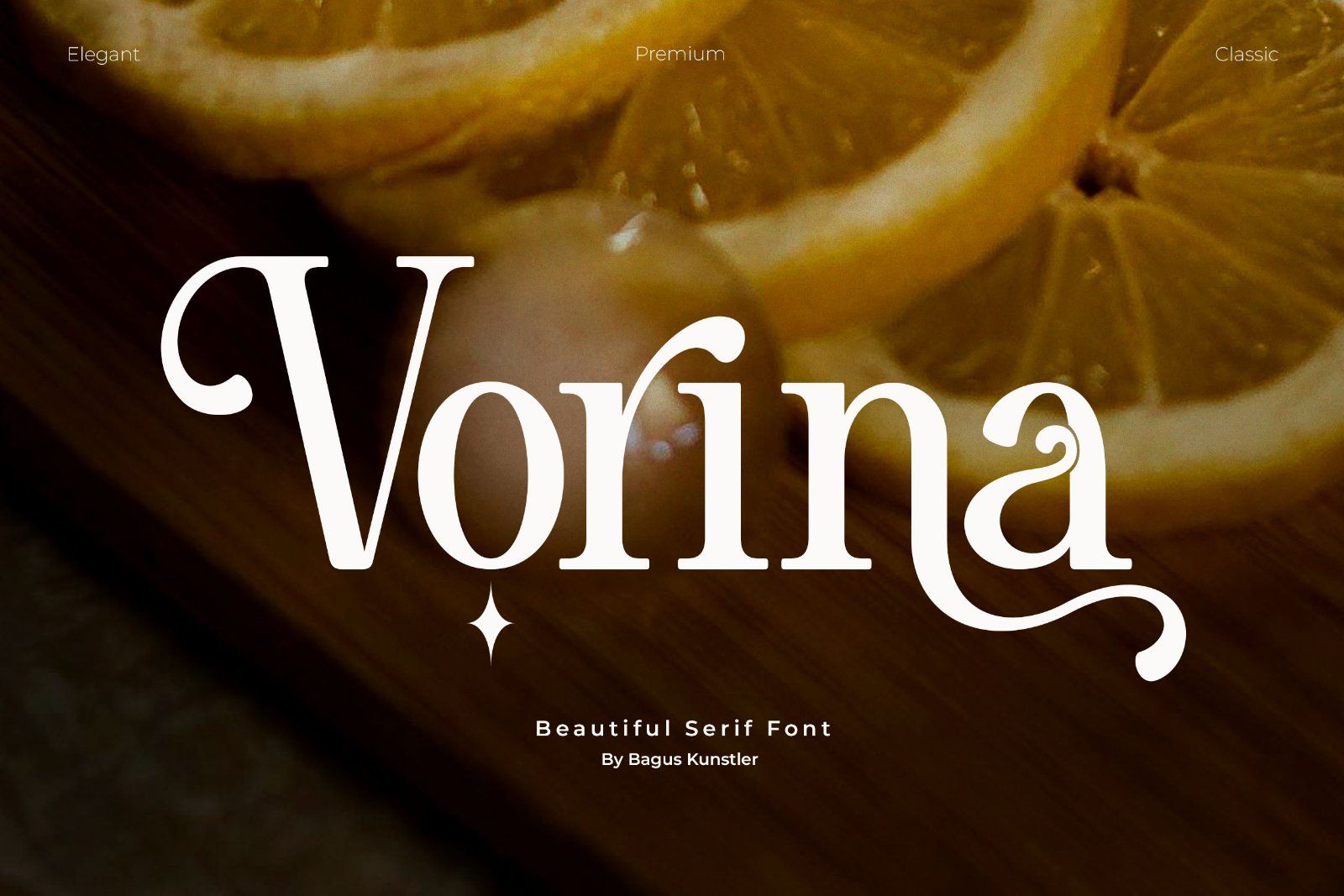 Vorina - Retro Serif Font
