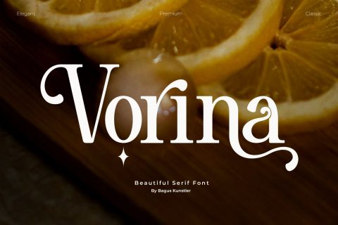 Vorina - Retro Serif Font
