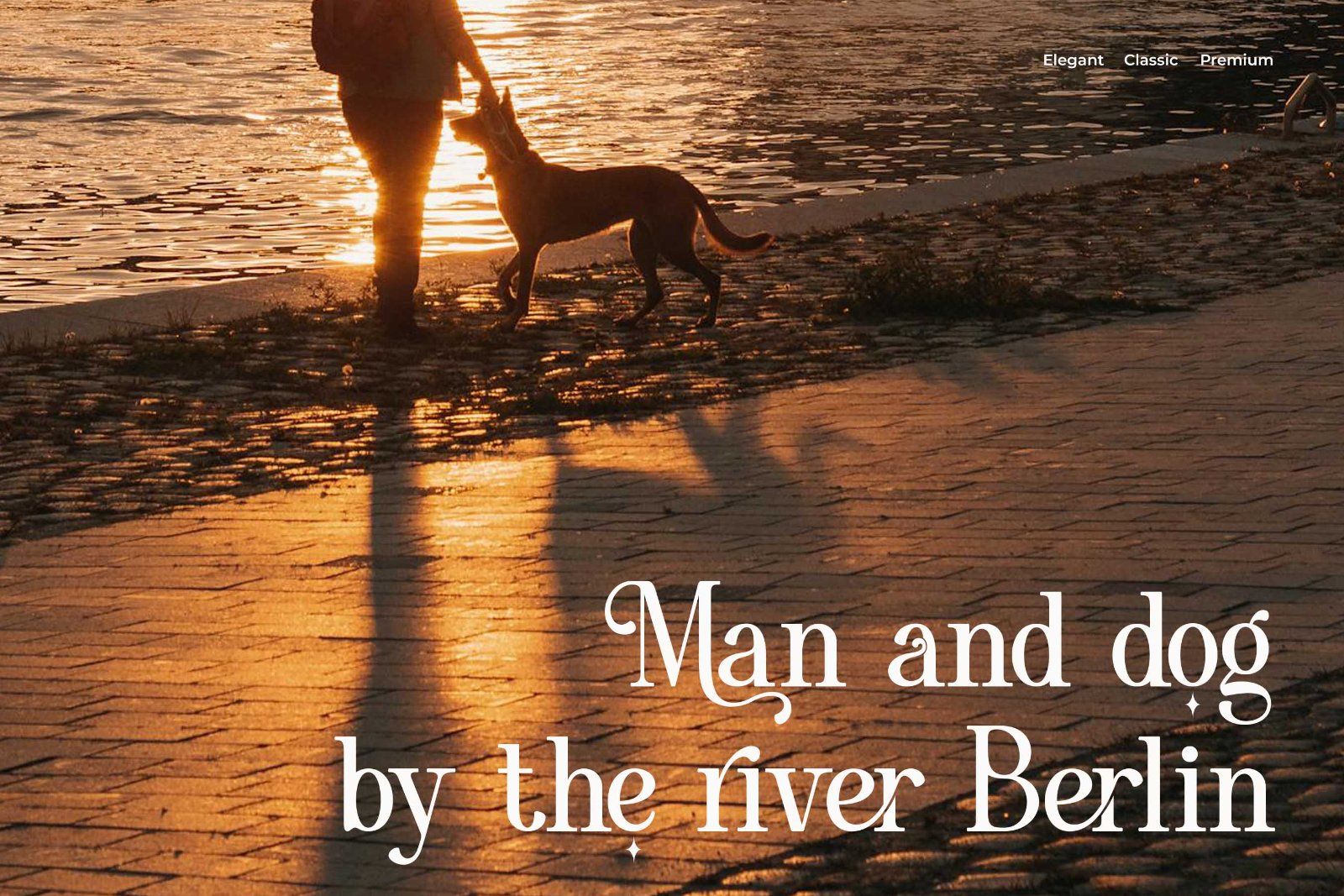 Vorina - Retro Serif Font