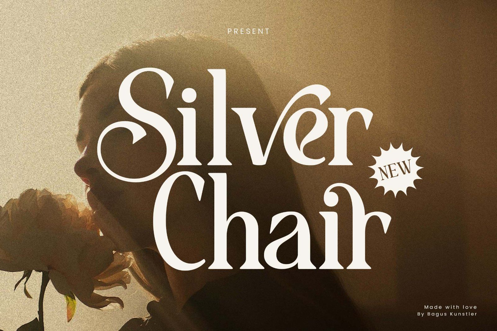 Silver Chair - Retro Serif font