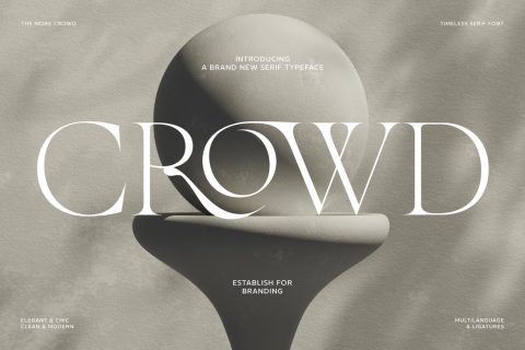 The More Crowd Serif