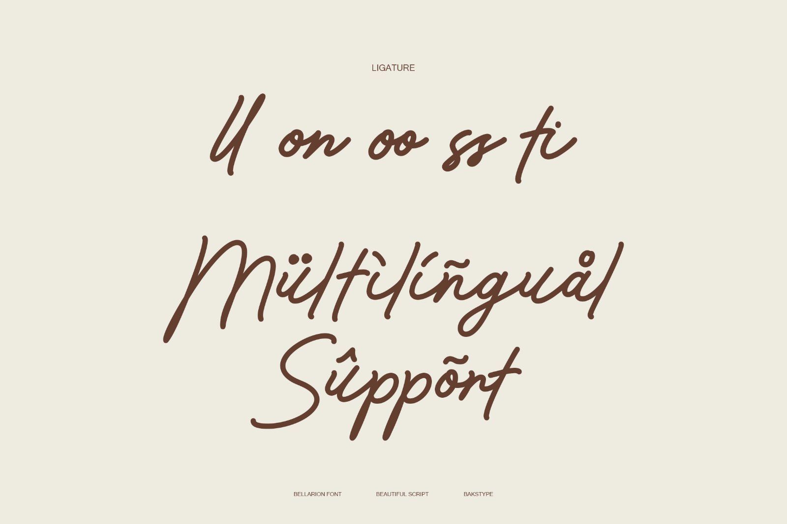 Bellarion | Beautiful Script Font