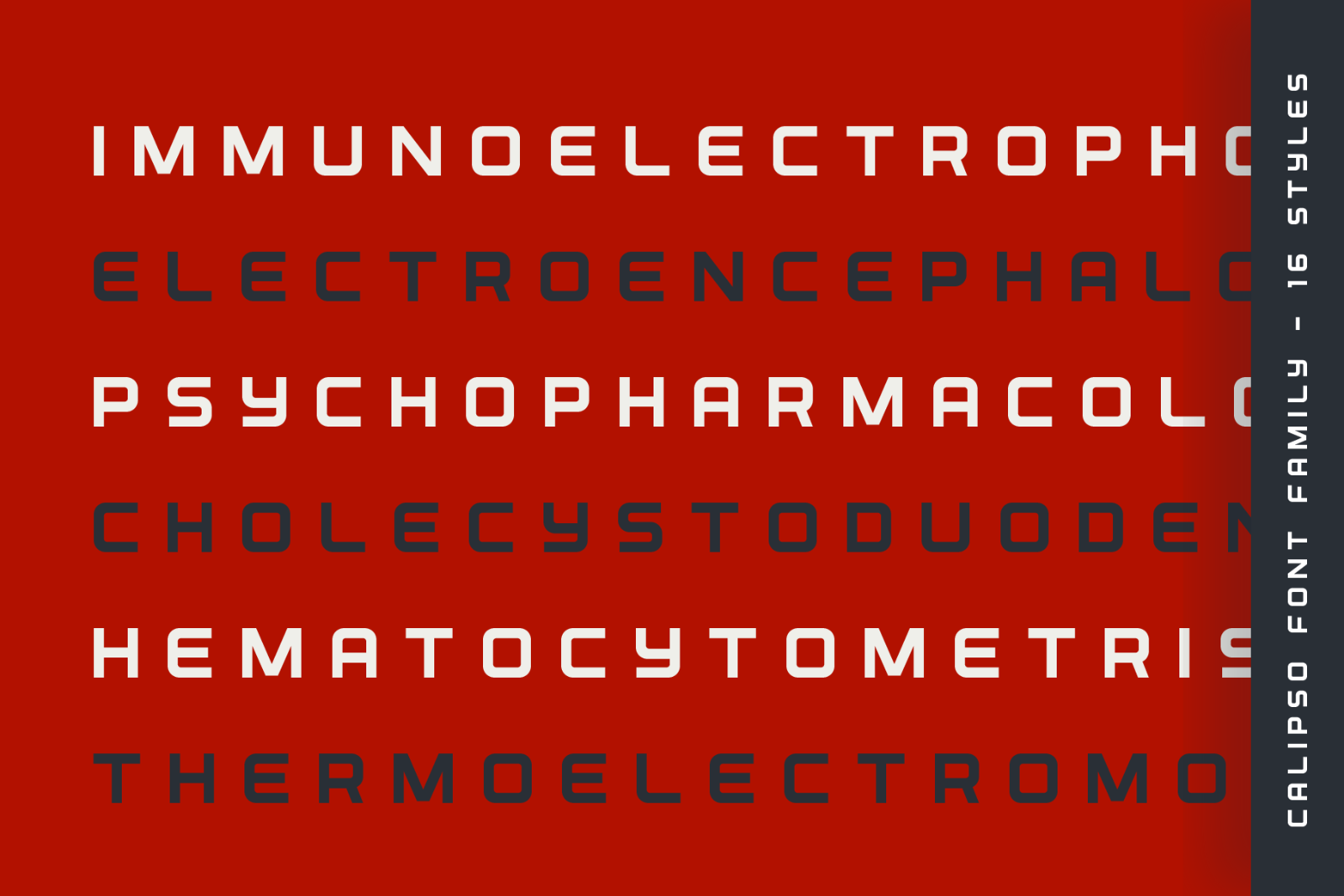 Calipso - Display Font Family - 16 Fonts