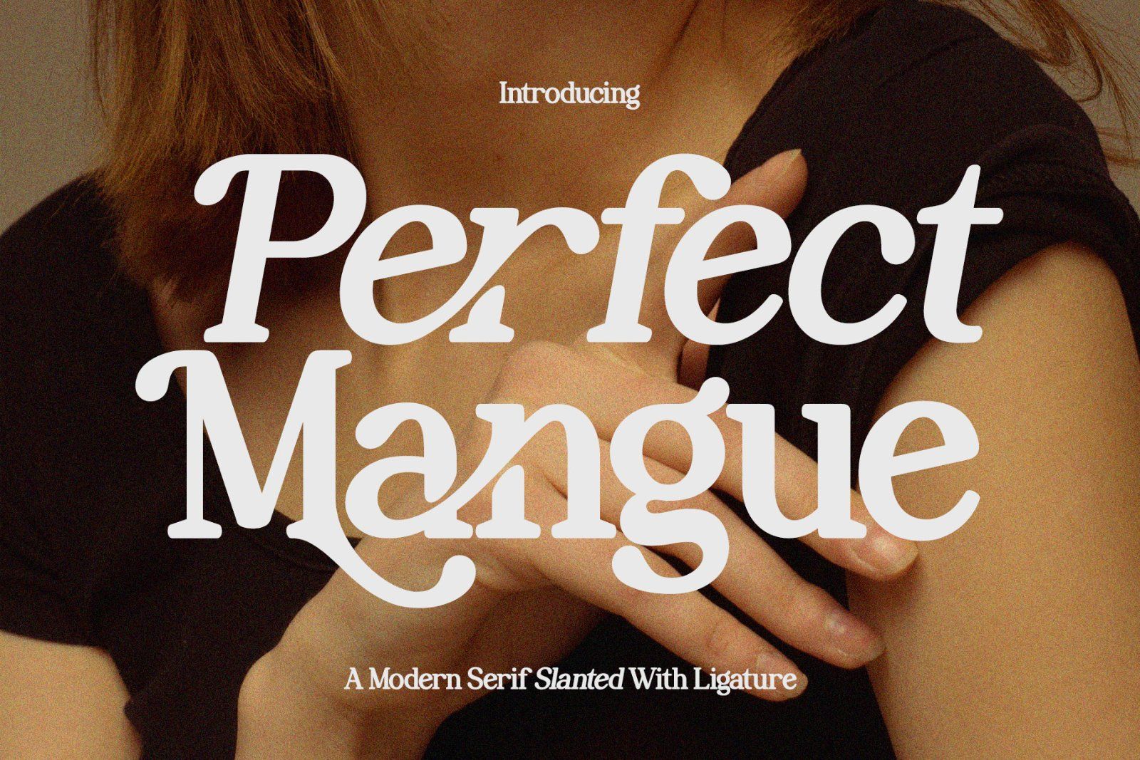 Perfect Mangue | Serif Duo Font