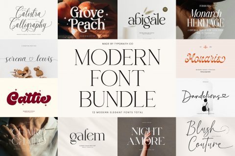 Modern Serif & Script Font Bundle