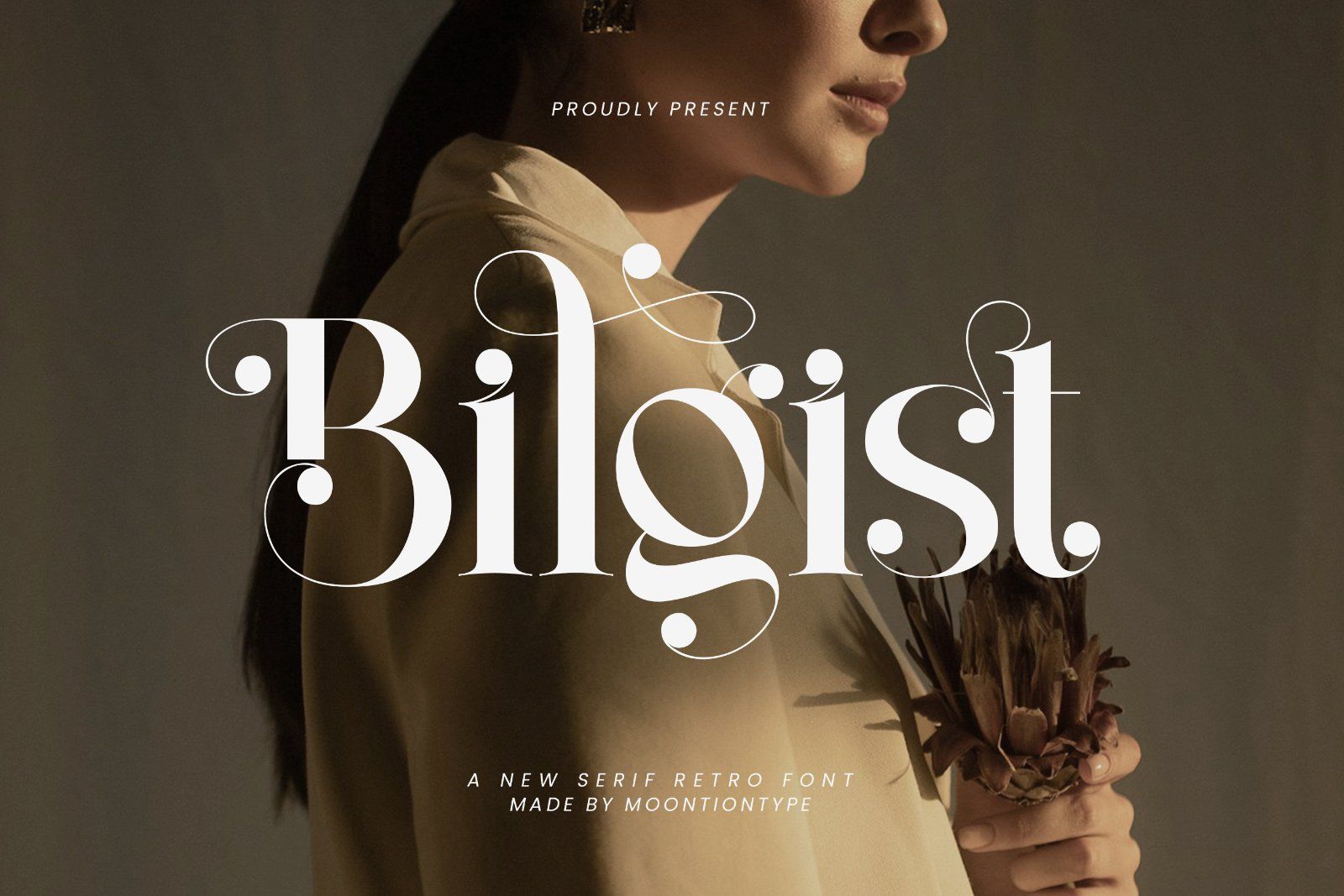 Bilgist | Modern Serif Display Font