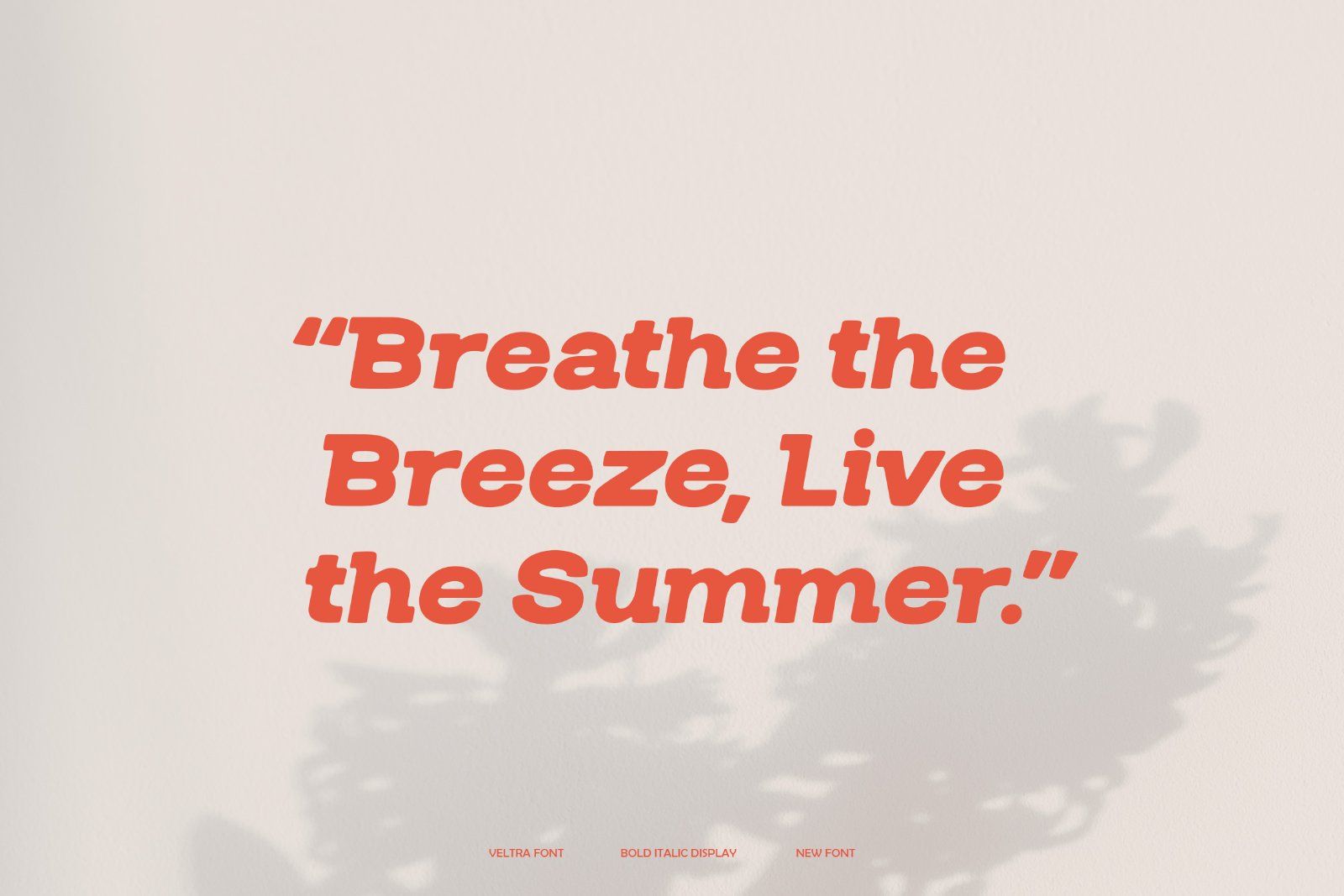 Veltra | Bold Italic Display