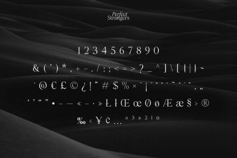 Perfect Strangers I Elegant Serif