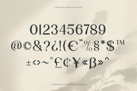 Partake | Modern Serif