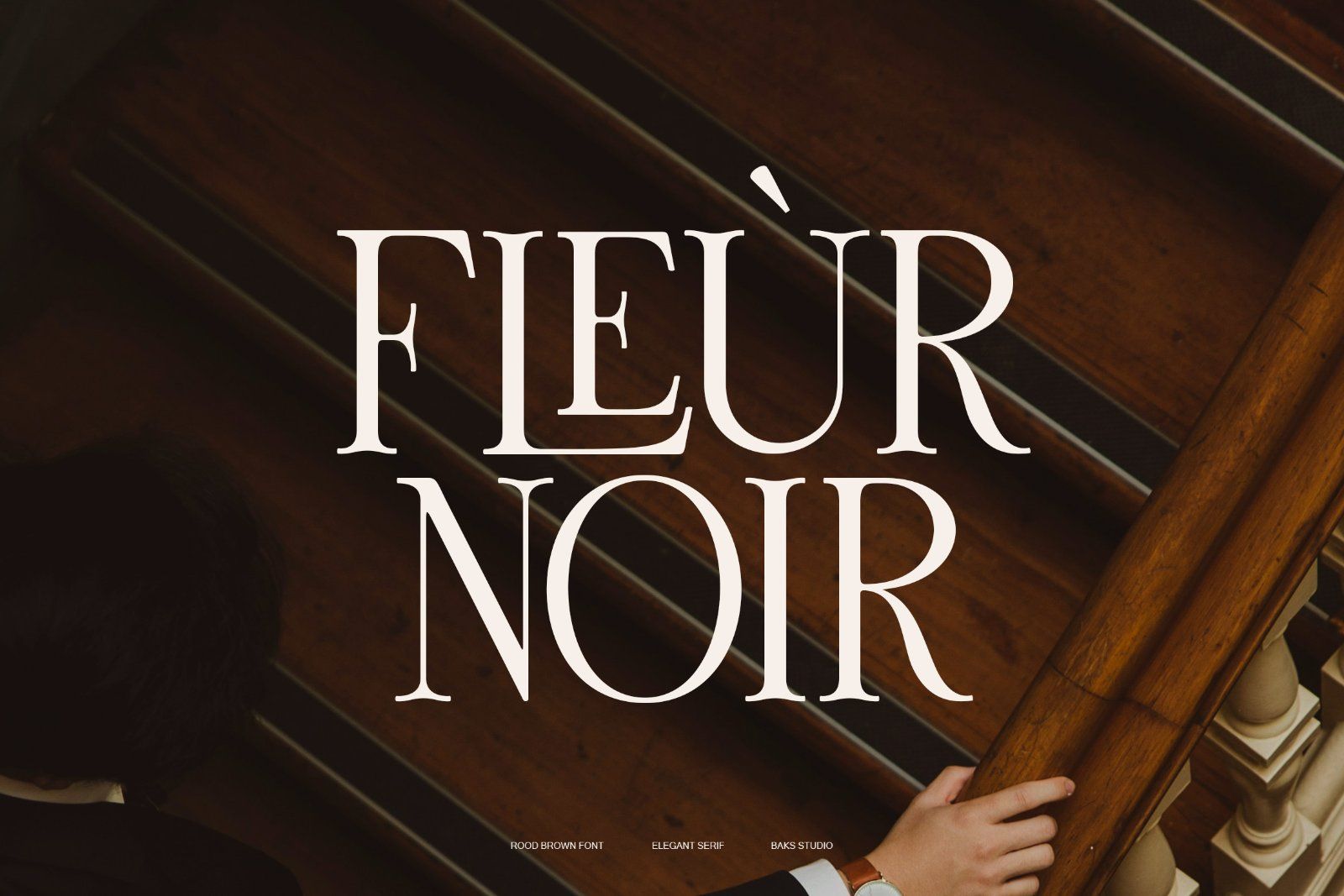 Rood Brown | Modern and Elegant Serif