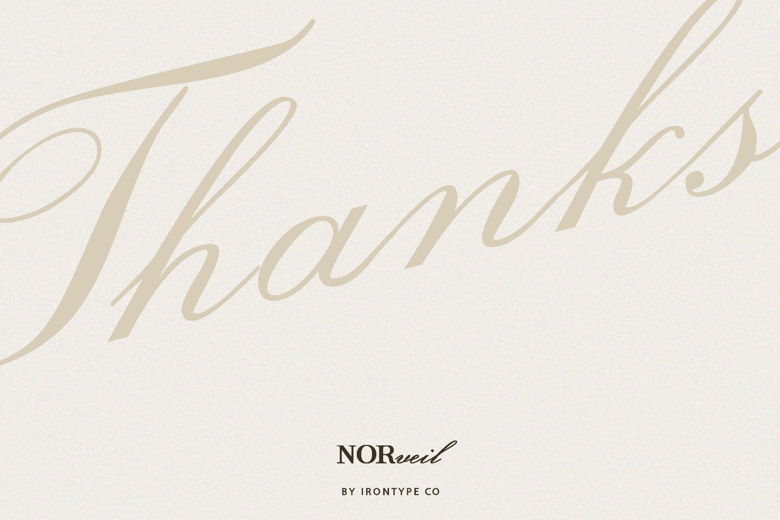 Norveil - Font Duo (Serif and Script)