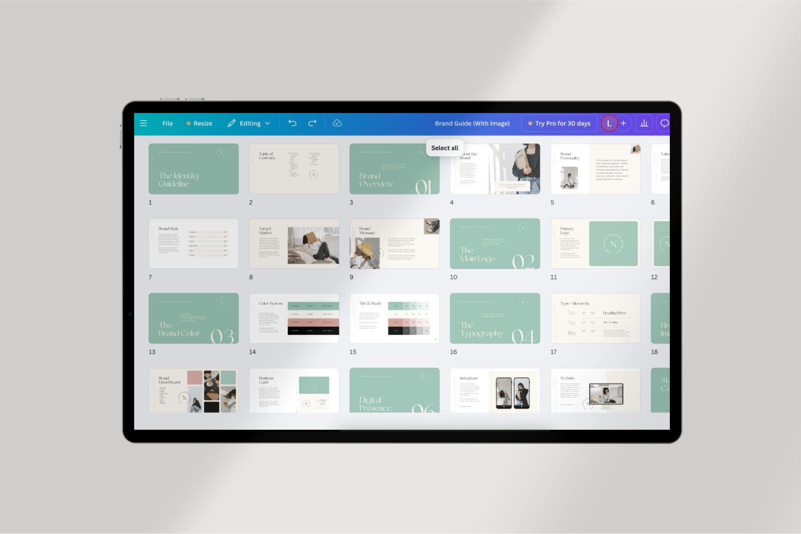 The Identity Guideline