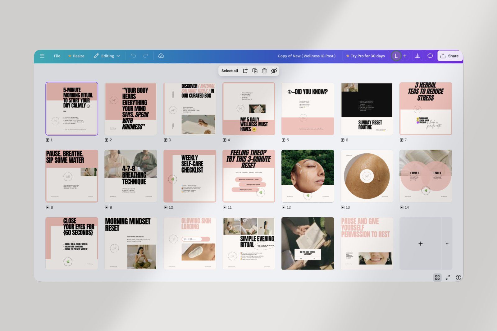 Bold Wellness Social Media Pack – Canva